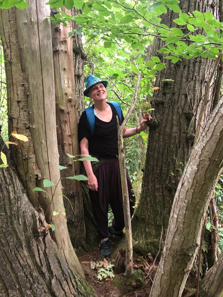 Yoga and Soundscape Wellness Retreat- Sunday June 7th - 10.30am-2pm