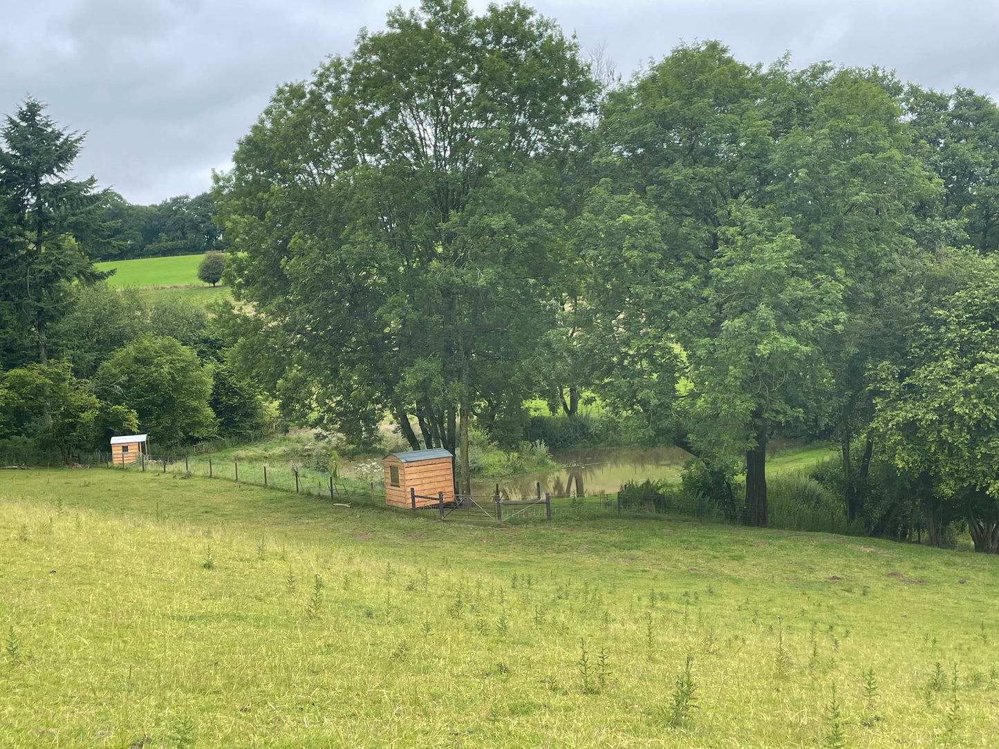 Yoga and Soundscape Wellness Retreat- Sunday June 7th - 10.30am-2pm