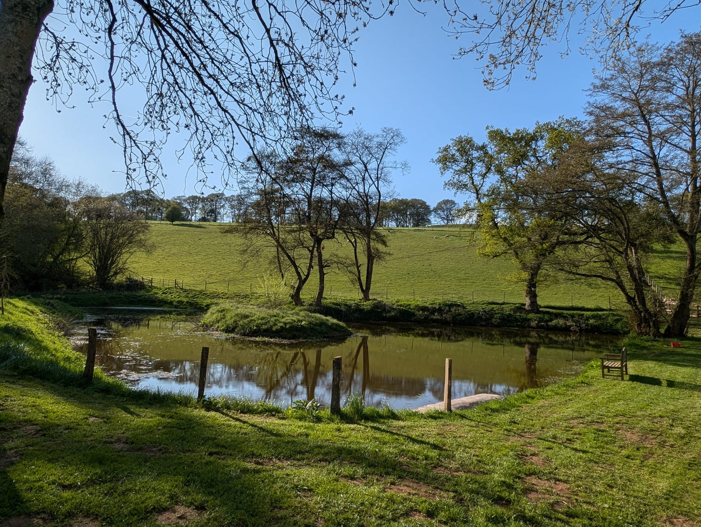 Yoga and Soundscape Wellness Retreat- Sunday June 7th - 10.30am-2pm