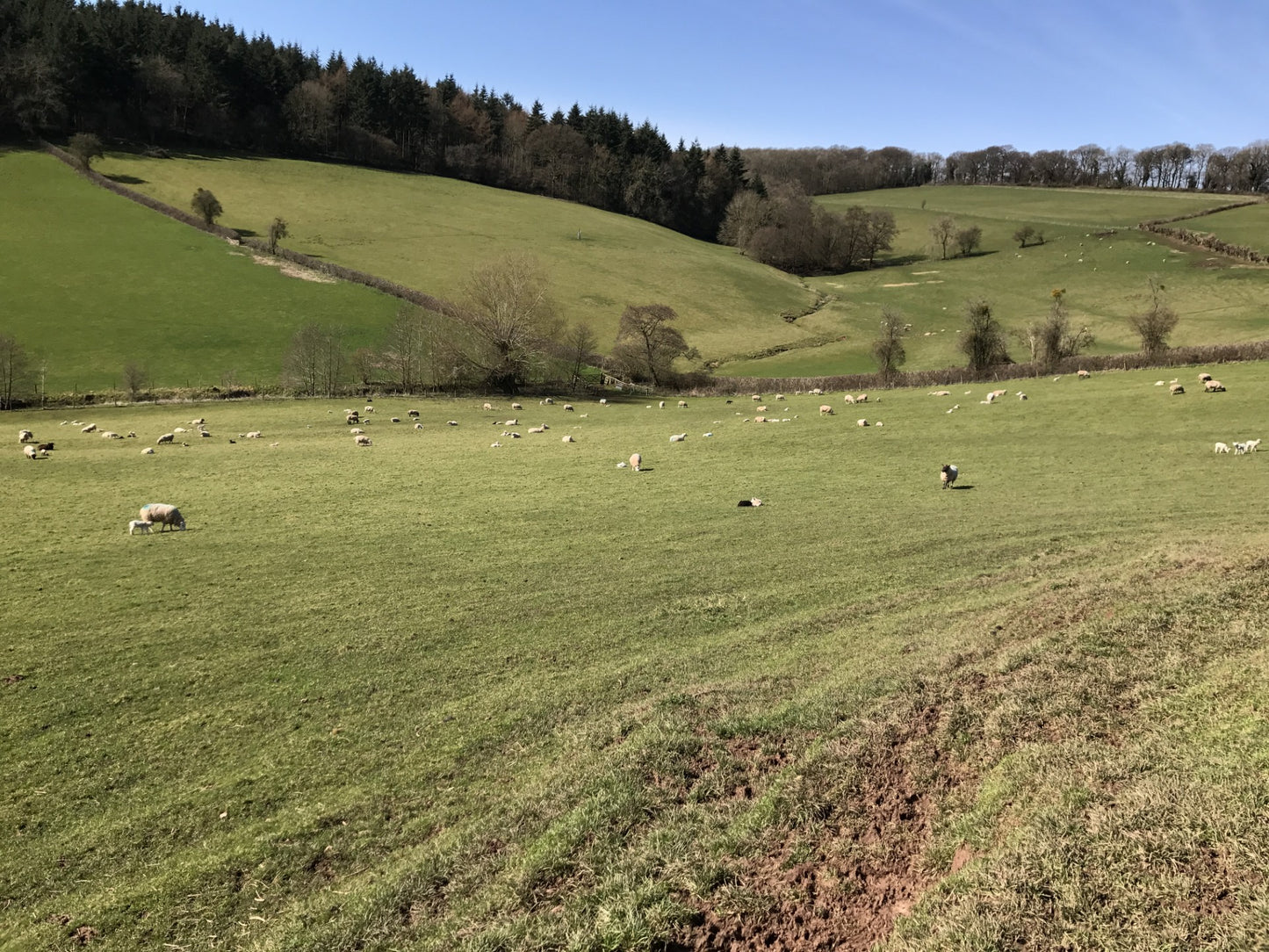 Friday 3rd April- "Easter On The Farm"